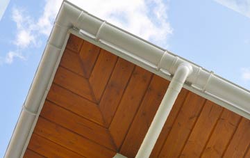 Blenkinsopp Hall soffit types